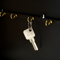 Ключница "Карта 4" Венге  26,5х31,5х4,5 см МИКС