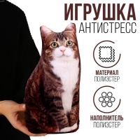 Игрушка антистресс, кот &laquo;Васька&raquo;