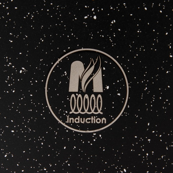 Кастрюля &laquo;Гранит Black&raquo; Induction Pro, 3 л, d=22 см, h=10.5 см, индукция, цвет чёрный