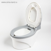 Горшок-унитаз, цвет белый/серый Горшок-унитаз, цвет белый/серый