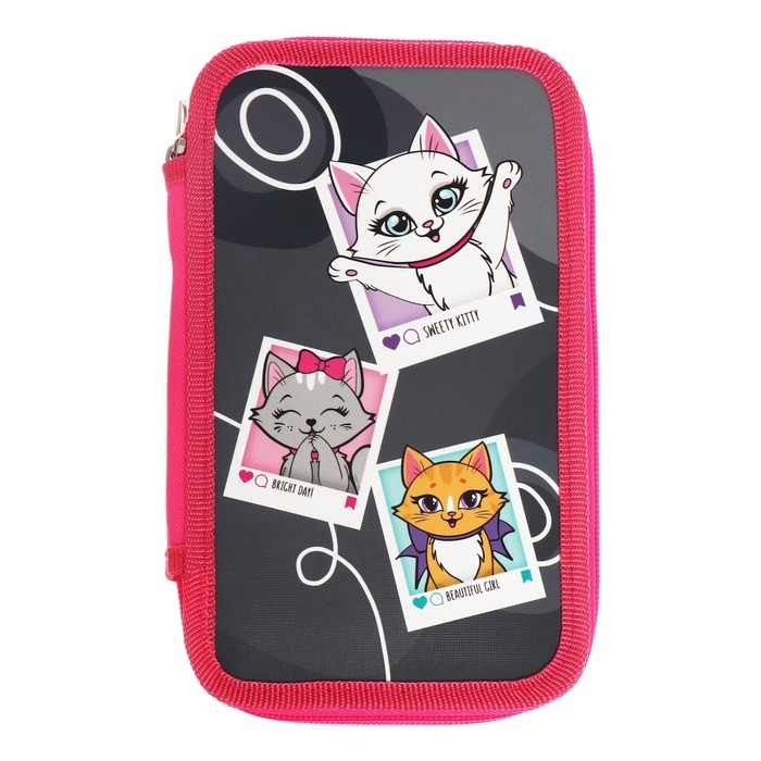 Пенал 2 секции, 125 х 205 х 40 мм, Calligrata 30П26/2 Пенал 2 секции, 125 х 205 х 40 мм, Calligrata 30П26/2 "Котята", ламинированный картон