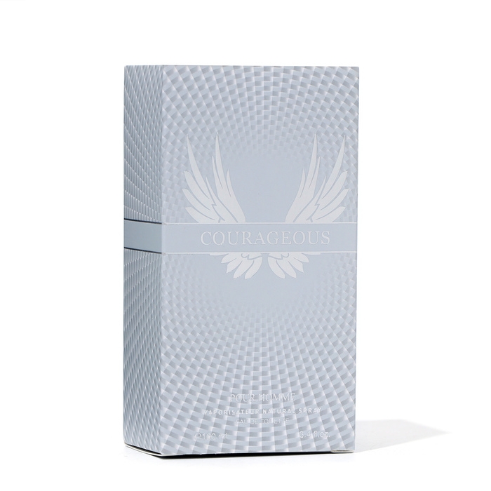 Туалетная вода мужская Courageous, 100 мл Туалетная вода мужская Courageous, 100 мл