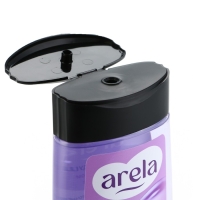 Гель для душа &laquo;Цветочный сад&raquo;, 250 мл, аромат чарующего букета, ARELA