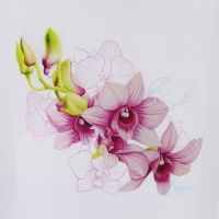 Горшок для орхидей с поддоном, 3,5 л, пластиковый, цвет прозрачный Горшок для орхидей с поддоном, 3,5 л, пластиковый, цвет прозрачный