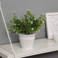 Бонсай в горшке "Гомфрена премиум" 21х10 см, микс Бонсай в горшке "Гомфрена премиум" 21х10 см, микс