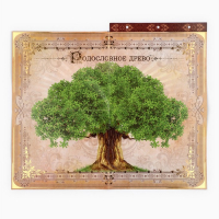 Родословная книга с рамкой под фото &laquo;Родословная книга&raquo;, 50 листов, 21,5 х 23,7 см.