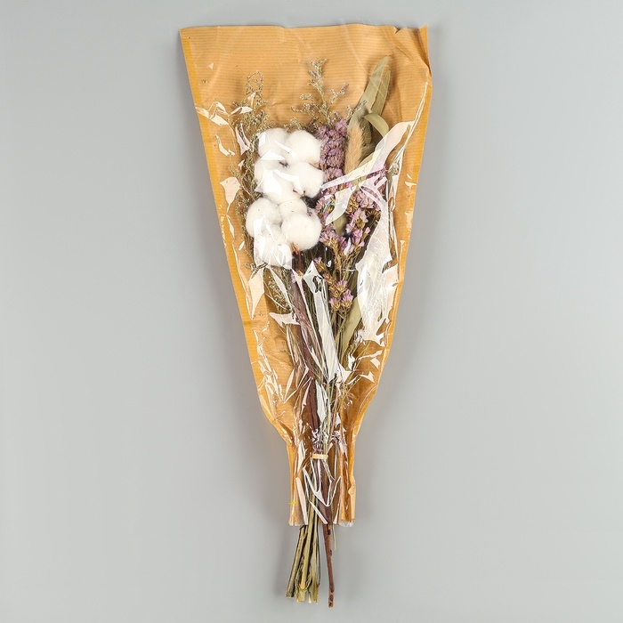 Сухоцветы «Хлопок», набор из 4 видов, 47 × 21,5 × 9 см Сухоцветы «Хлопок», набор из 4 видов, 47 × 21,5 × 9 см