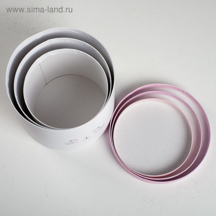 Набор коробок 3 в 1, упаковка подарочная, &laquo;Котики&raquo;, 14 х 14 х 13 - 18 х 18 х 15 см