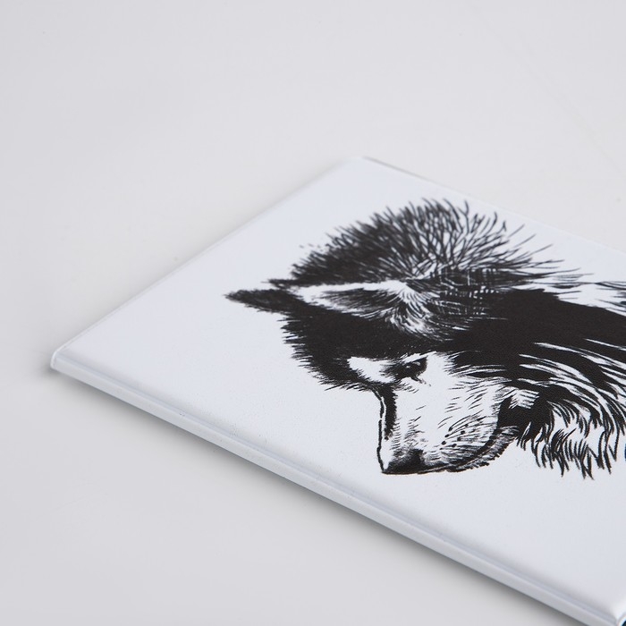 Обложка для паспорта, цвет белый