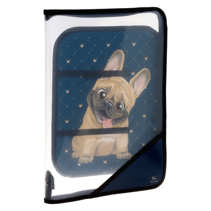 Папка для труда А4, 325 х 230 х 25 мм, молния вокруг, откидная планка, пластиковая, ПТР-1, Calligrata Папка для труда А4, 325 х 230 х 25 мм, молния вокруг, откидная планка, пластиковая, ПТР-1, Calligrata "Бульдожка"