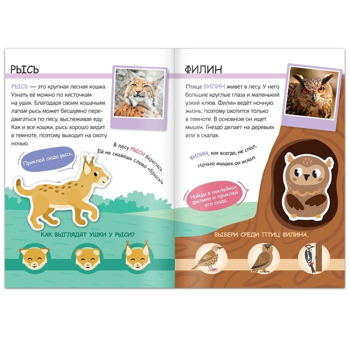 Книжка с наклейками &laquo;Жители леса. Читай, играй, узнавай&raquo;, 16 стр.