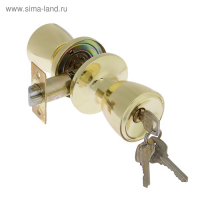 Защелка 1203, с ключом, цвет золото Защелка 1203, с ключом, цвет золото