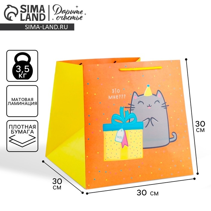 Пакет подарочный квадратный, упаковка, «Котик и тортик», 30 х 30 х 30 см Пакет подарочный квадратный, упаковка, «Котик и тортик», 30 х 30 х 30 см