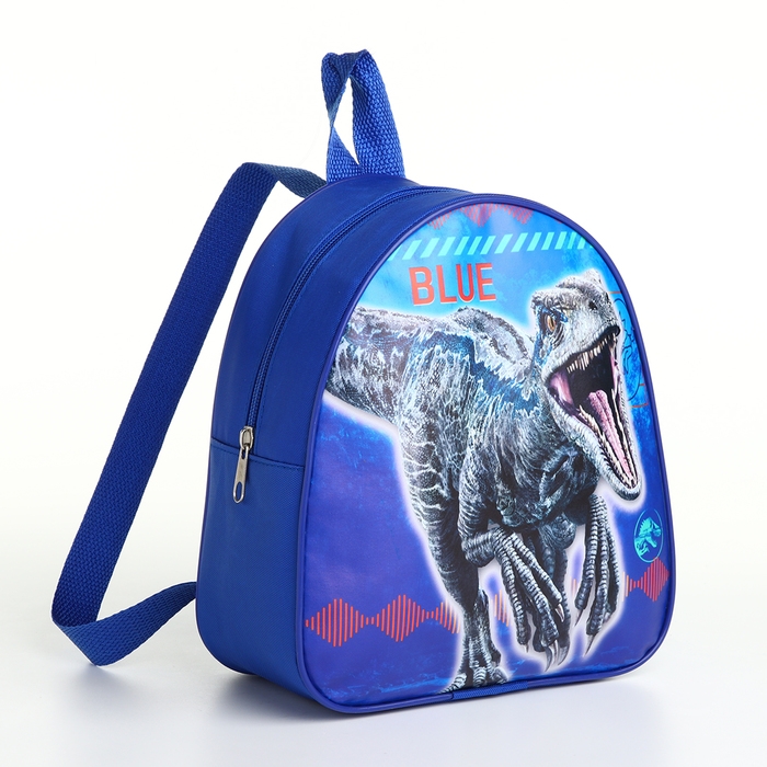 Рюкзак детский на молнии "Выбражулька", цвет синий