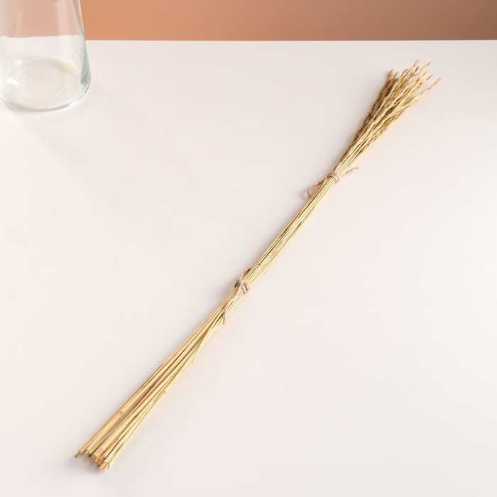 Набор сухоцветов "Райграс", банч 21 шт, длина 60 (+/- 6 см), натуральный