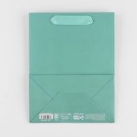 Пакет подарочный ламинированный, упаковка, &laquo;Тиффани&raquo;, MS 18 х 23 х 10 см