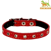 Ошейник кожаный на синтепоне, безразмерный, 37 х 1,5 см, ОШ 21-31 см, красный Ошейник кожаный на синтепоне, безразмерный, 37 х 1,5 см, ОШ 21-31 см, красный