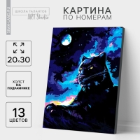 Картина по номерам на холсте с подрамником &laquo;Пантера в ночи&raquo; 20х30 см