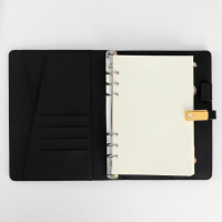 Ежедневник со встроенным зарядным устройством 8000 мАh и флешкой 16 ГБ «Лев», 17,5 х 23,5 см Ежедневник со встроенным зарядным устройством 8000 мАh и флешкой 16 ГБ «Лев», 17,5 х 23,5 см