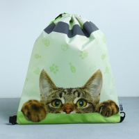 Мешок для обуви со светоотражающим элементом &laquo;Забавный котёнок&raquo; 30 х 40 см
