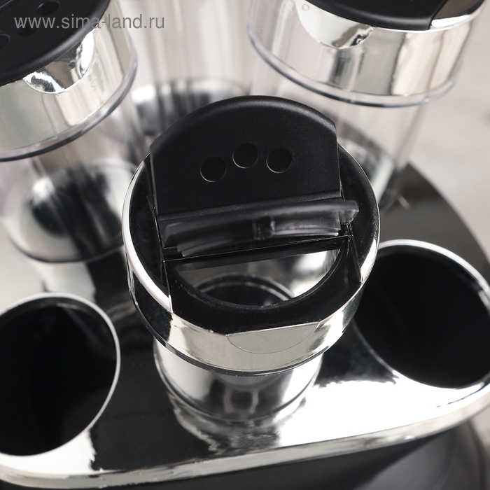 Набор для специй &laquo;Конус&raquo;, 100 мл, на подставке, 6 шт