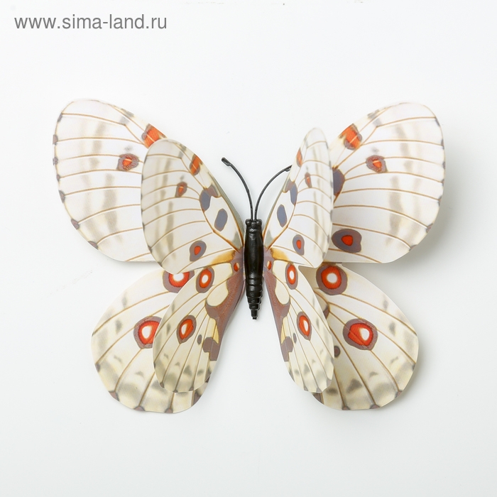 Магнит пластик Магнит пластик "Бабочки" набор 12 шт МИКС h=4,4,5,5,6,8,9,5,13,5,14,5 см