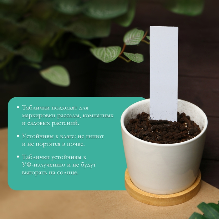 Бирки садовые для маркировки, 10 см, набор 20 шт., маркер, пластик, белые, Greengo
