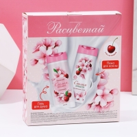 Подарочный набор косметики &laquo;Расцветай!&raquo;, гель для душа и пена для ванны, 2 х 250 мл, ЧИСТОЕ СЧАСТЬЕ