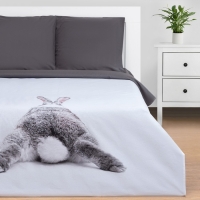 Постельное бельё Этель 1.5 сп &laquo;Кролик&raquo; 143х215 см, 150х214 см, 70х70 см - 2 шт, бязь
