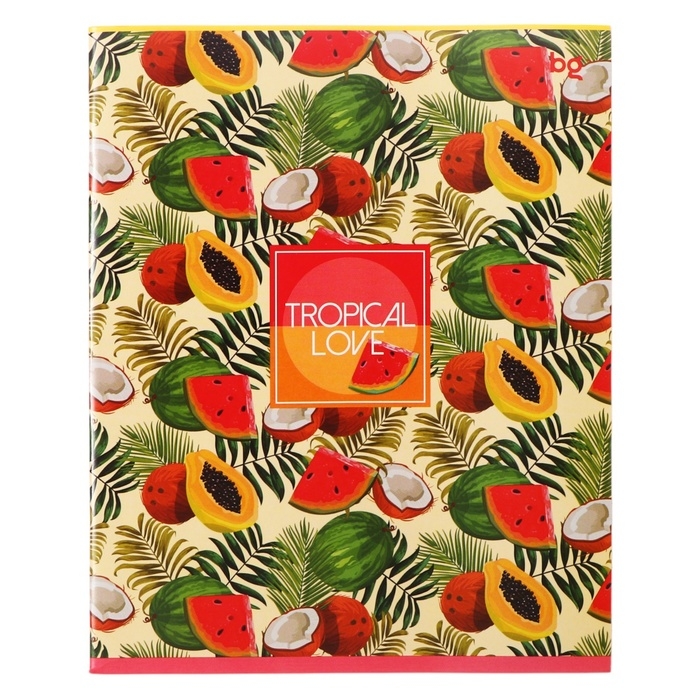 Тетрадь 48 листов в клетку Тетрадь 48 листов в клетку "Девочки", обложка мелованный картон, ВД-лак, белизна 90, блок 60г/м2, МИКС