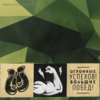 Фартук "100% мужик" 65*80см,100% п/э,оксфорд 210г/м2 Фартук "100% мужик" 65*80см,100% п/э,оксфорд 210г/м2