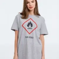 Футболка &laquo;Жар-птица&raquo;, серый меланж, размер L