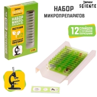 Набор для опытов «Набор микропрепаратов», растения Набор для опытов «Набор микропрепаратов», растения