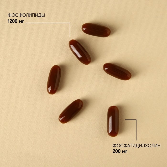 БАДы Подсолнечный лецитин, для здоровья печени, 60 капсул БАДы Подсолнечный лецитин, для здоровья печени, 60 капсул