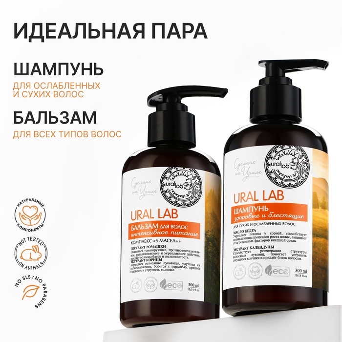 Шампунь для сухих и ослабленных волос с маслом кедра и экстрактом календулы, здоровые и блестящие, 300 мл, ECO LAB by URAL LAB