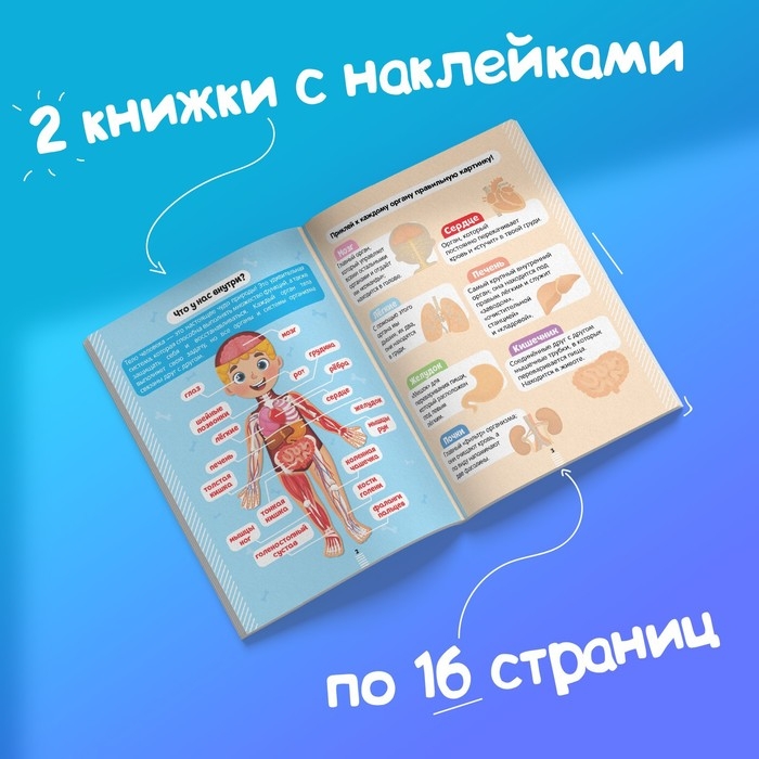Наклейки набор «Тело человека», 2 шт. по 16 стр. Наклейки набор «Тело человека», 2 шт. по 16 стр.