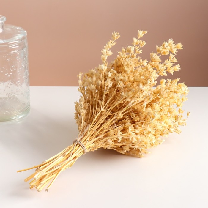 Набор сухоцветов Набор сухоцветов "Шандра", банч длина 40 (+/- 6 см), выбеленный