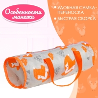 Манеж для кукол &laquo;Лисички&raquo;