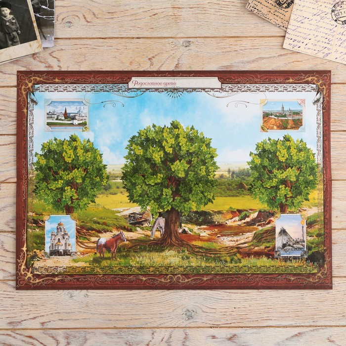 Родословная книга в шкатулке &laquo;Древо жизни&raquo;, 56 листов, 20 х 26 см.