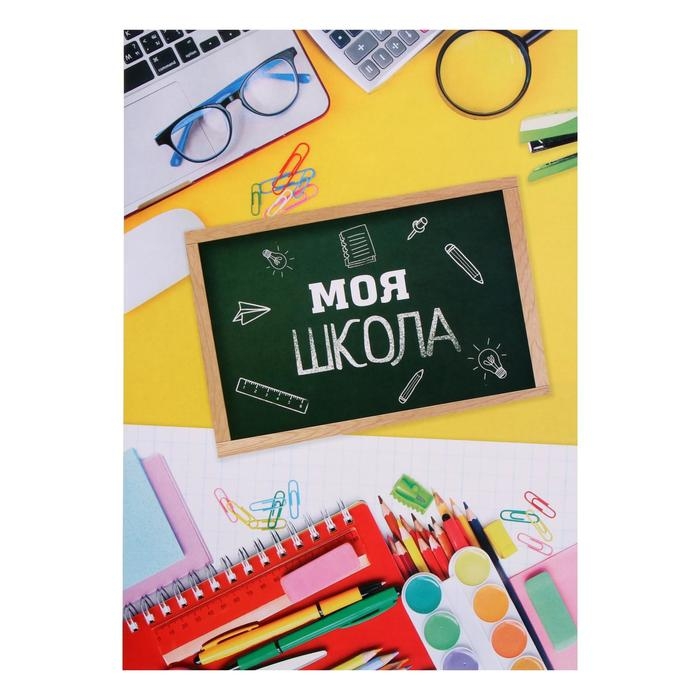 Папка школьная на кольцах &laquo;Портфолио школьника&raquo;, 10 листов-разделителей, 24,5 х 32 см.