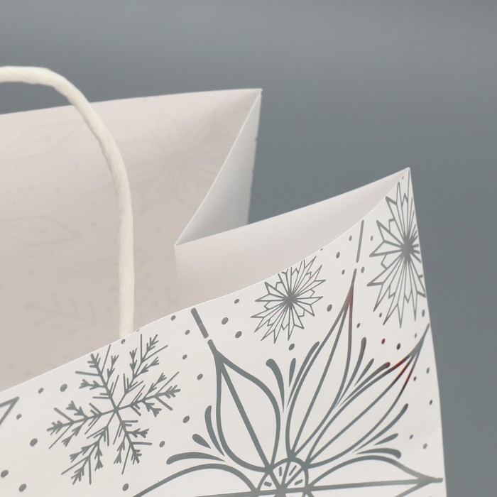 Пакет подарочный новогодний крафтовый Winter, 32 х 28 х 15 см, Новый год