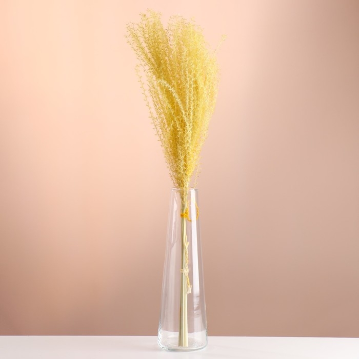 Набор сухоцветов Набор сухоцветов "Мискантус", банч 3-5 шт, длина 60 (+/- 6 см), желтый