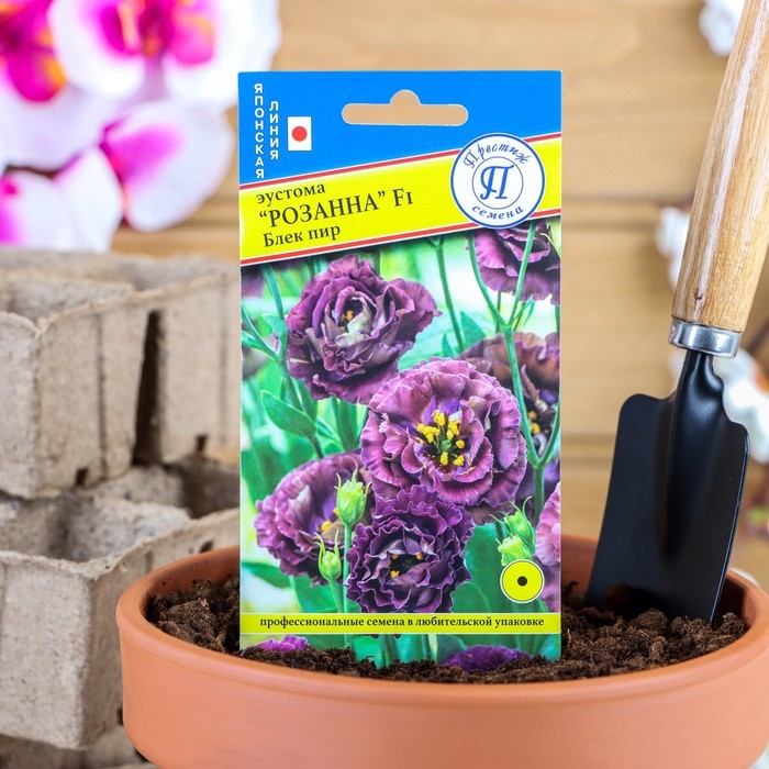 Семена цветов Эустома Семена цветов Эустома "Розанна" Блек пир F1, драже, 3 шт
