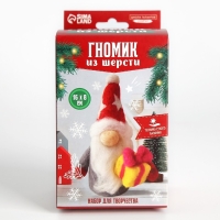 Валяние из шерсти на новый год. Игрушка своими руками «Гномик с подарком», новогодний набор для творчества Валяние из шерсти на новый год. Игрушка своими руками «Гномик с подарком», новогодний набор для творчества