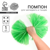 Помпон 1шт, цветзеленый Помпон 1шт, цветзеленый