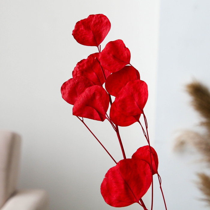 Сухоцвет персикого дерева, 50 г, длина &mdash; 70 см, цвет красный