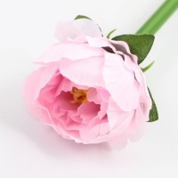 Подарочная ручка &laquo;Учителю: С Днём Учителя&raquo;, пластик, синяя паста, пишущий узел 1 мм