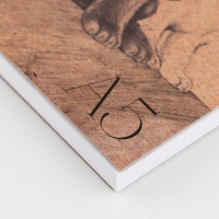 Скетчбук А5, 80 листов твердая обложка &laquo;Собаки&raquo;.