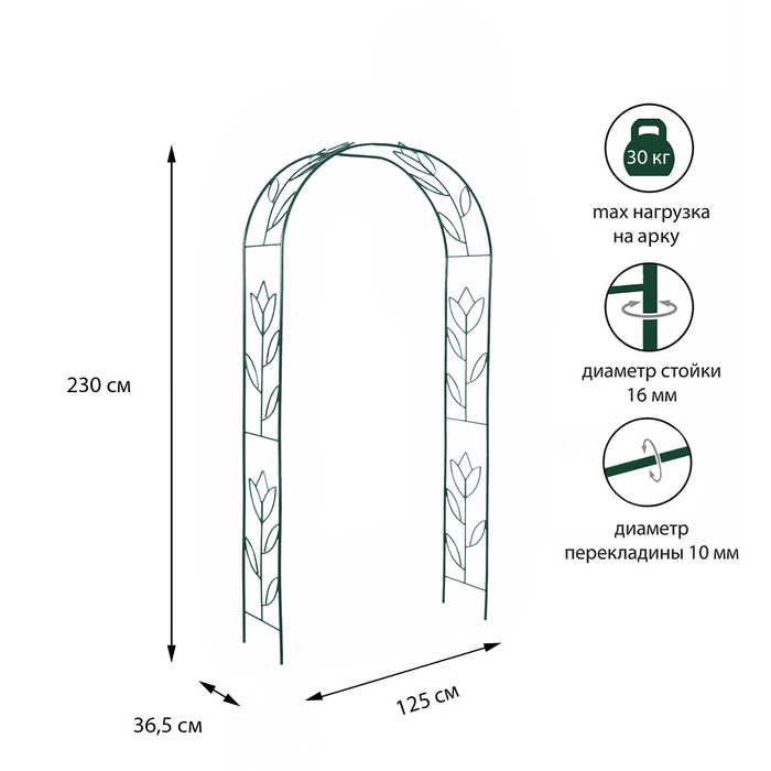 Арка садовая, разборная, 230 &times; 125 &times; 36.5 см, металл, зелёная, &laquo;Тюльпан&raquo;