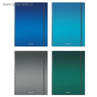 Тетрадь А4 на спирали, 80 листов в клетку, ErichKrause Ice Metallic, пластиковая обложка, на резинке, блок офсет 100% белизна, МИКС